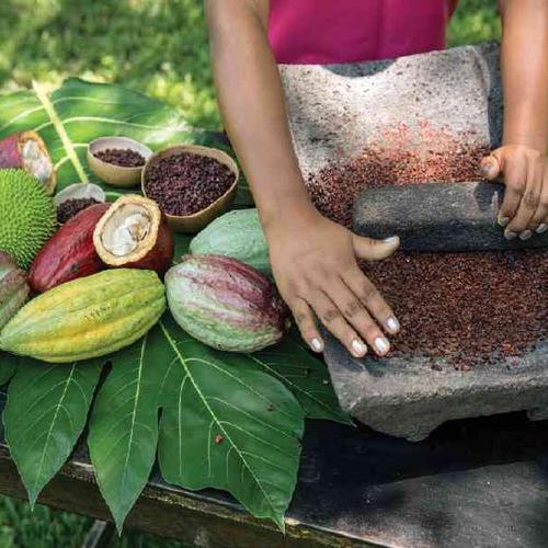 Learn the ancient Mayan methods of chocolate-making Learn the ancient Mayan methods of chocolate-making