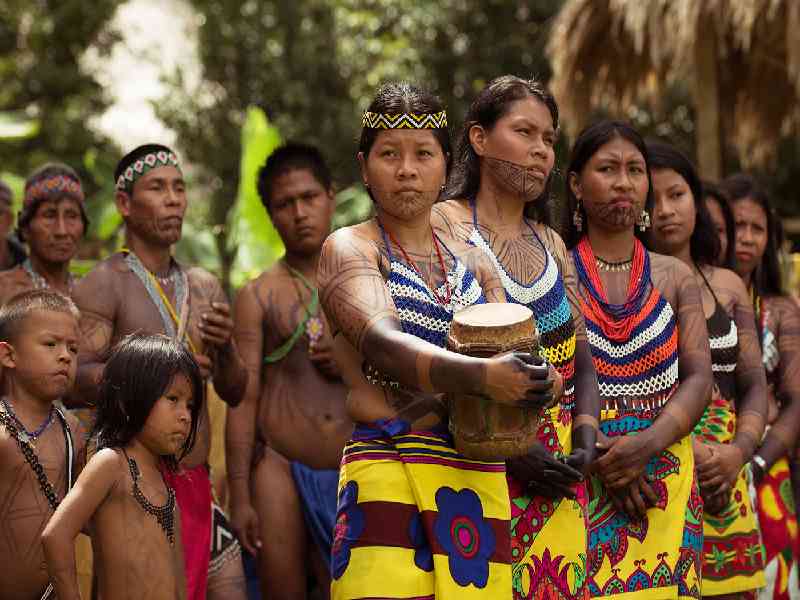 Discover authentic local traditions with Indigenous community visits, chocolate-making experiences, and live cultural activities