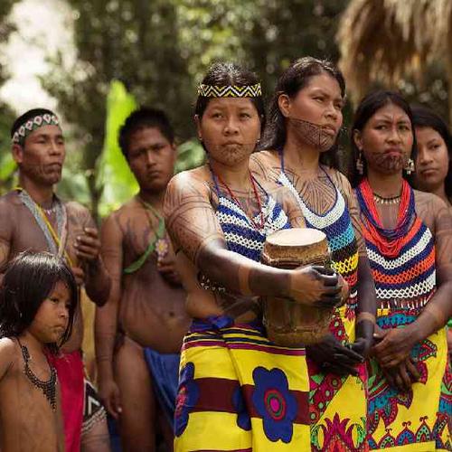 Discover authentic local traditions with Indigenous community visits, chocolate-making experiences, and live cultural activities Discover authentic local traditions with Indigenous community visits, chocolate-making experiences, and live cultural activities