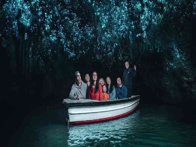 Explore unforgettable highlights including glowworm caves, Sydney Harbour, Byron Bay, and close-up koala encounters.