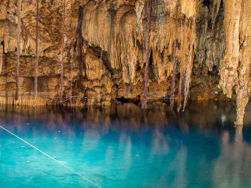 Rappel down 40 feet to swim in a cenote cavern