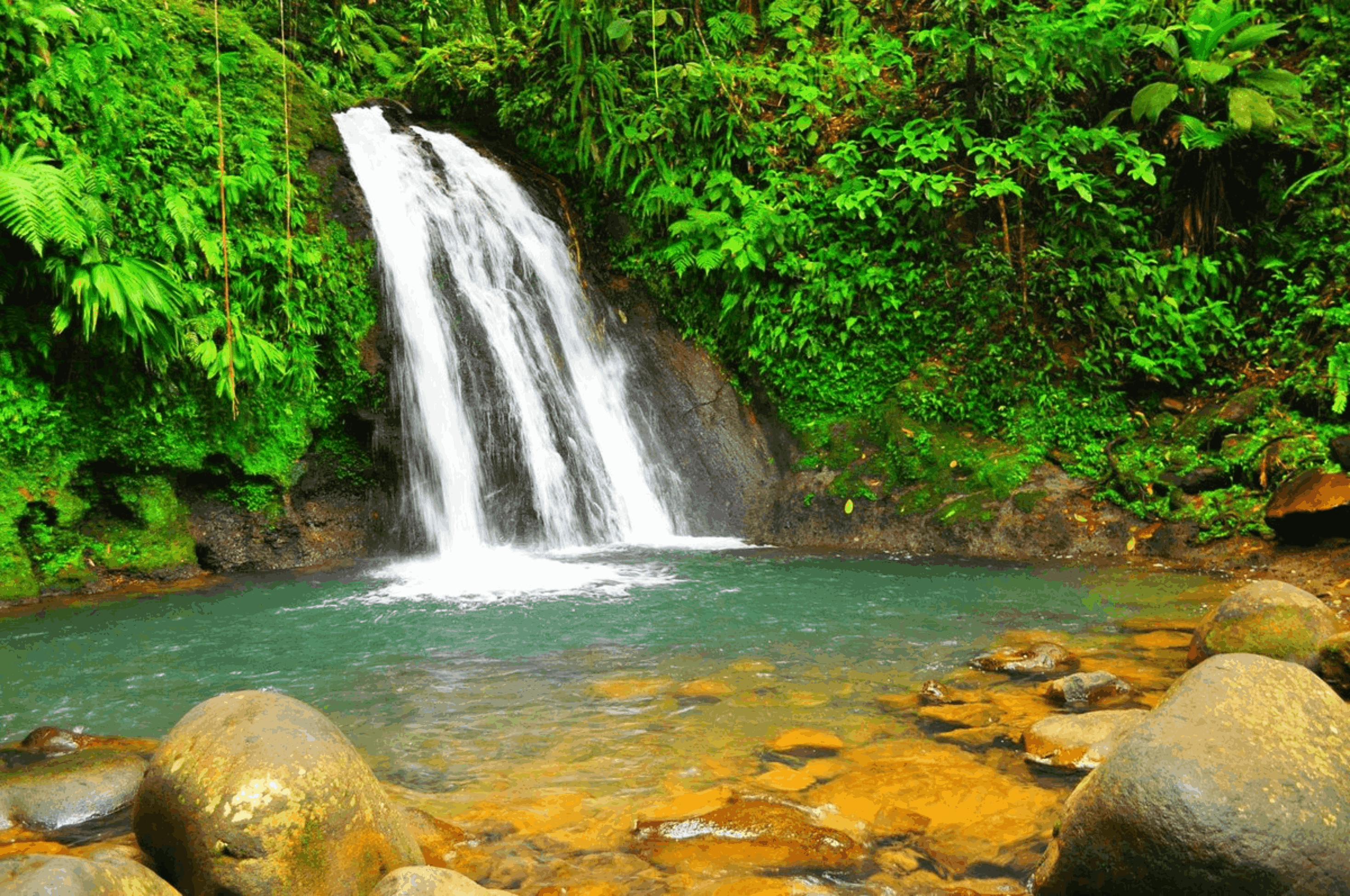 Ultimate Guadeloupe Nature & Discovery