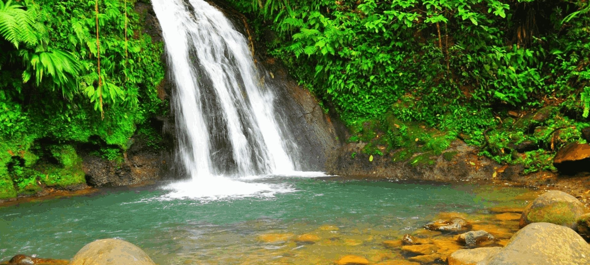 Ultimate Guadeloupe Nature & Discovery Ultimate Guadeloupe Nature & Discovery