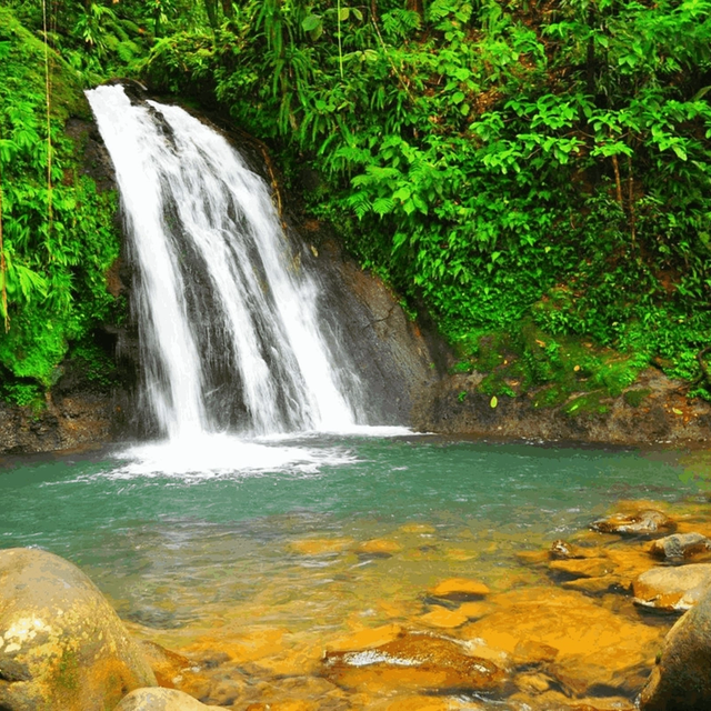 Ultimate Guadeloupe Nature & Discovery Ultimate Guadeloupe Nature & Discovery