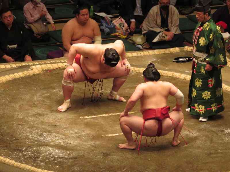 Wrestle and dine with real sumos in Tokyo