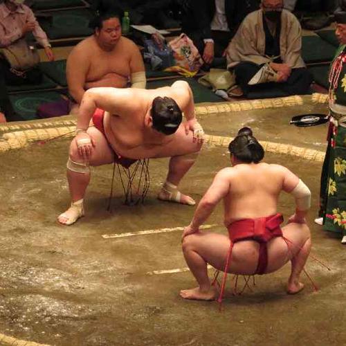 Wrestle and dine with real sumos in Tokyo Wrestle and dine with real sumos in Tokyo