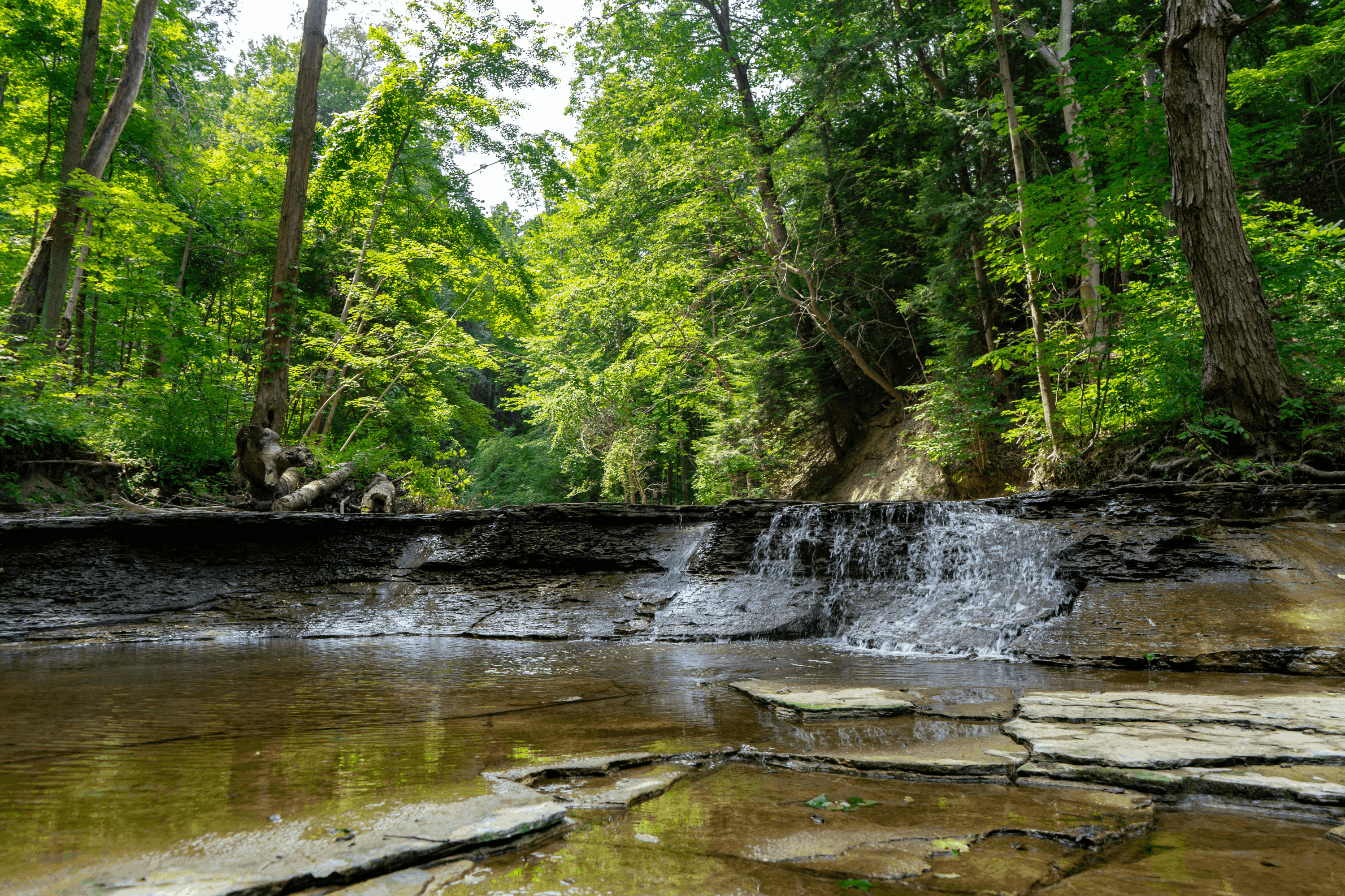 Full-Day Tour: Concord Waterfall, Chocolate Factory, Rum Distillery, Grand Etang
