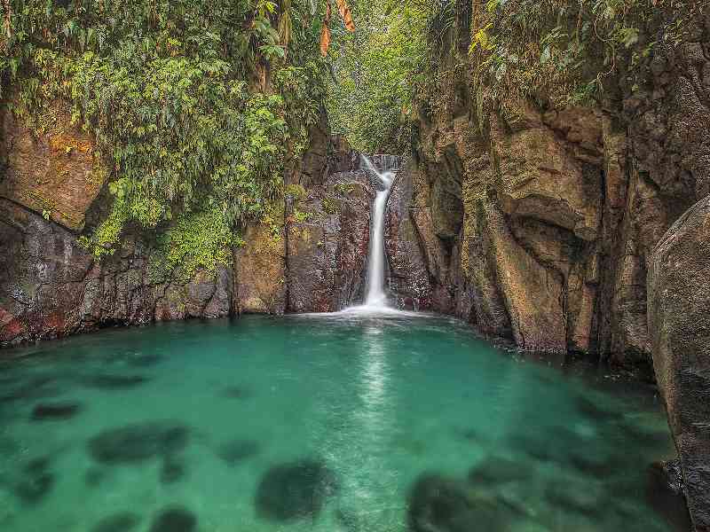 Swim beneath a natural waterfall in the rainforest