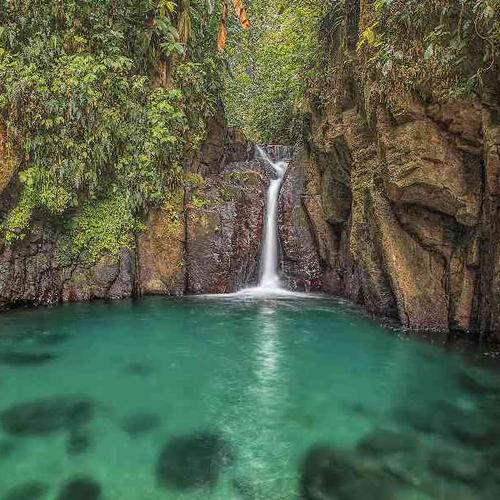 Swim beneath a natural waterfall in the rainforest Swim beneath a natural waterfall in the rainforest