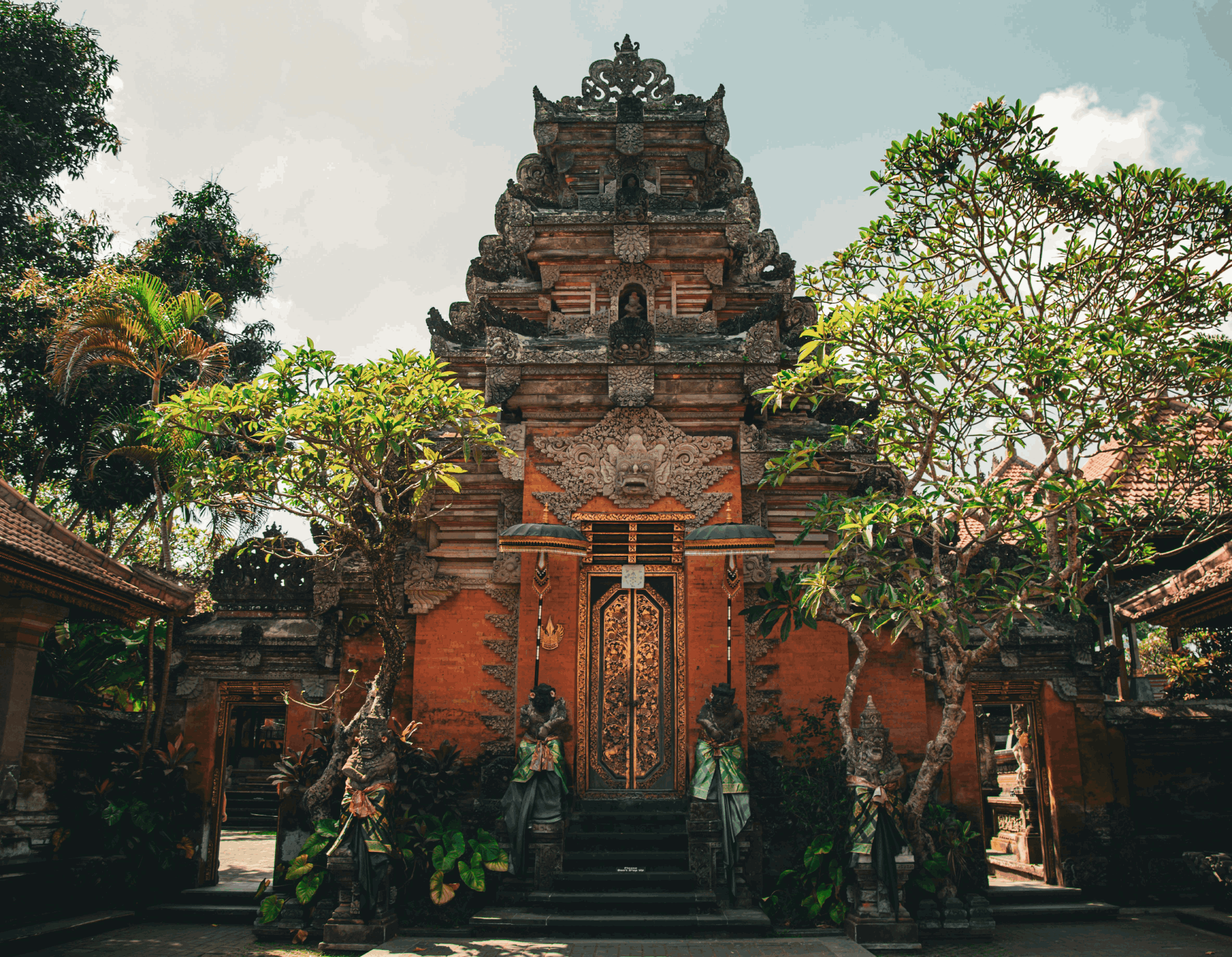 The Bali Trip