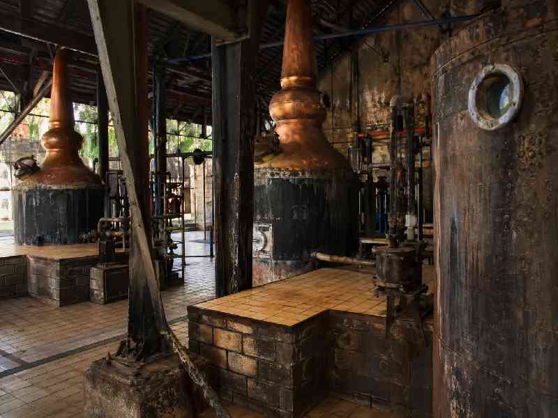 Discover the island’s rich culture with visits to historic sites, botanical gardens, and a traditional rum distillery.
