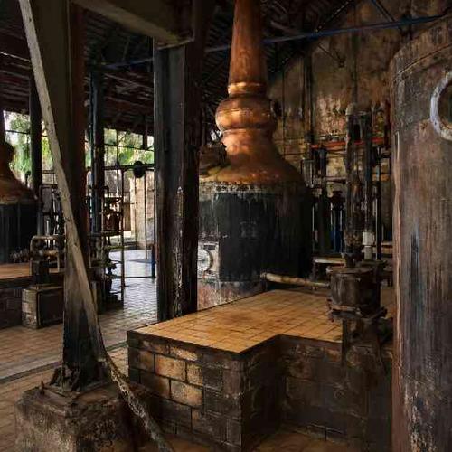 Discover the island’s rich culture with visits to historic sites, botanical gardens, and a traditional rum distillery. Discover the island’s rich culture with visits to historic sites, botanical gardens, and a traditional rum distillery.