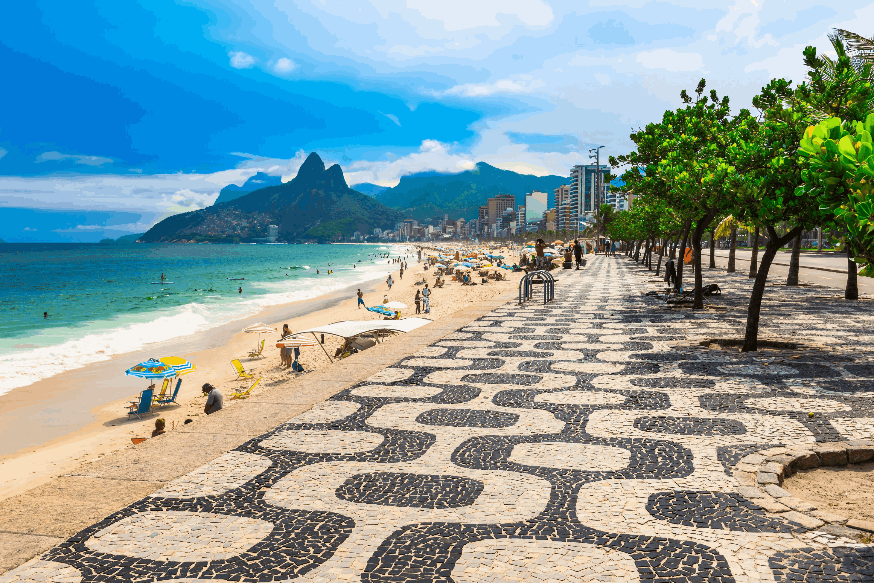 The Brazil Trip