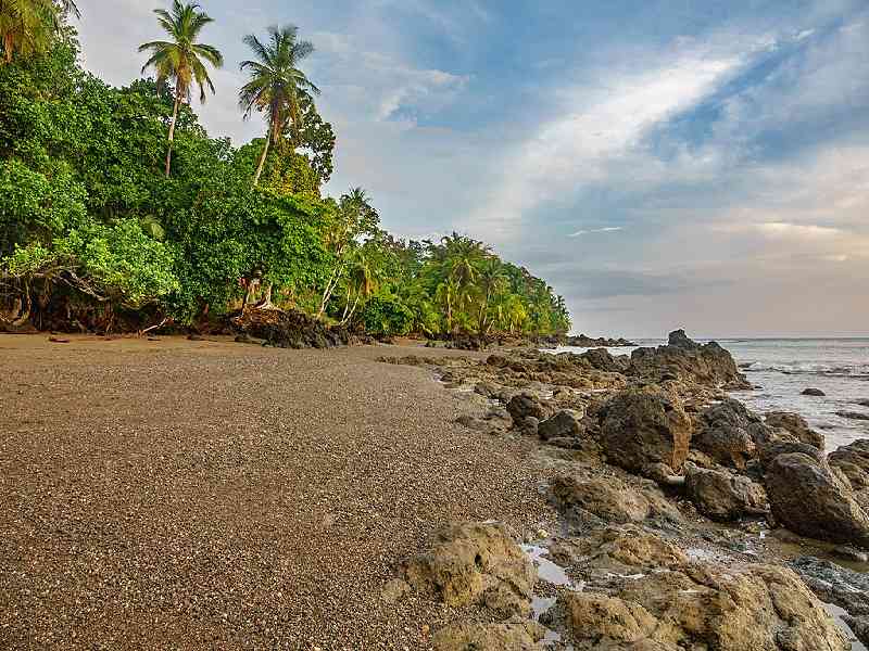 Coffee, Coastlines & Culture