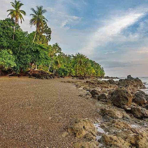 Coffee, Coastlines & Culture Coffee, Coastlines & Culture