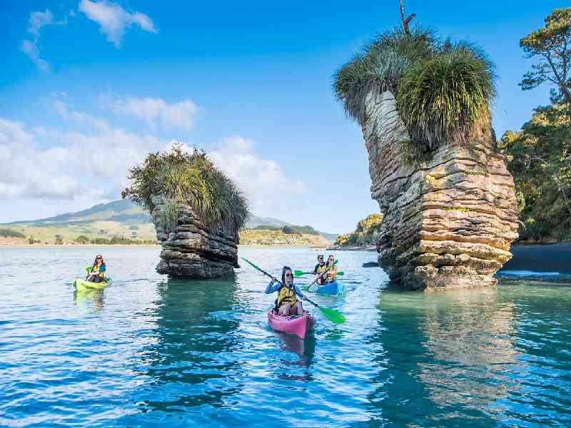   Scenic sea kayaking adventure in Raglan surrounded by stunning coastal landscapes and native forest views.