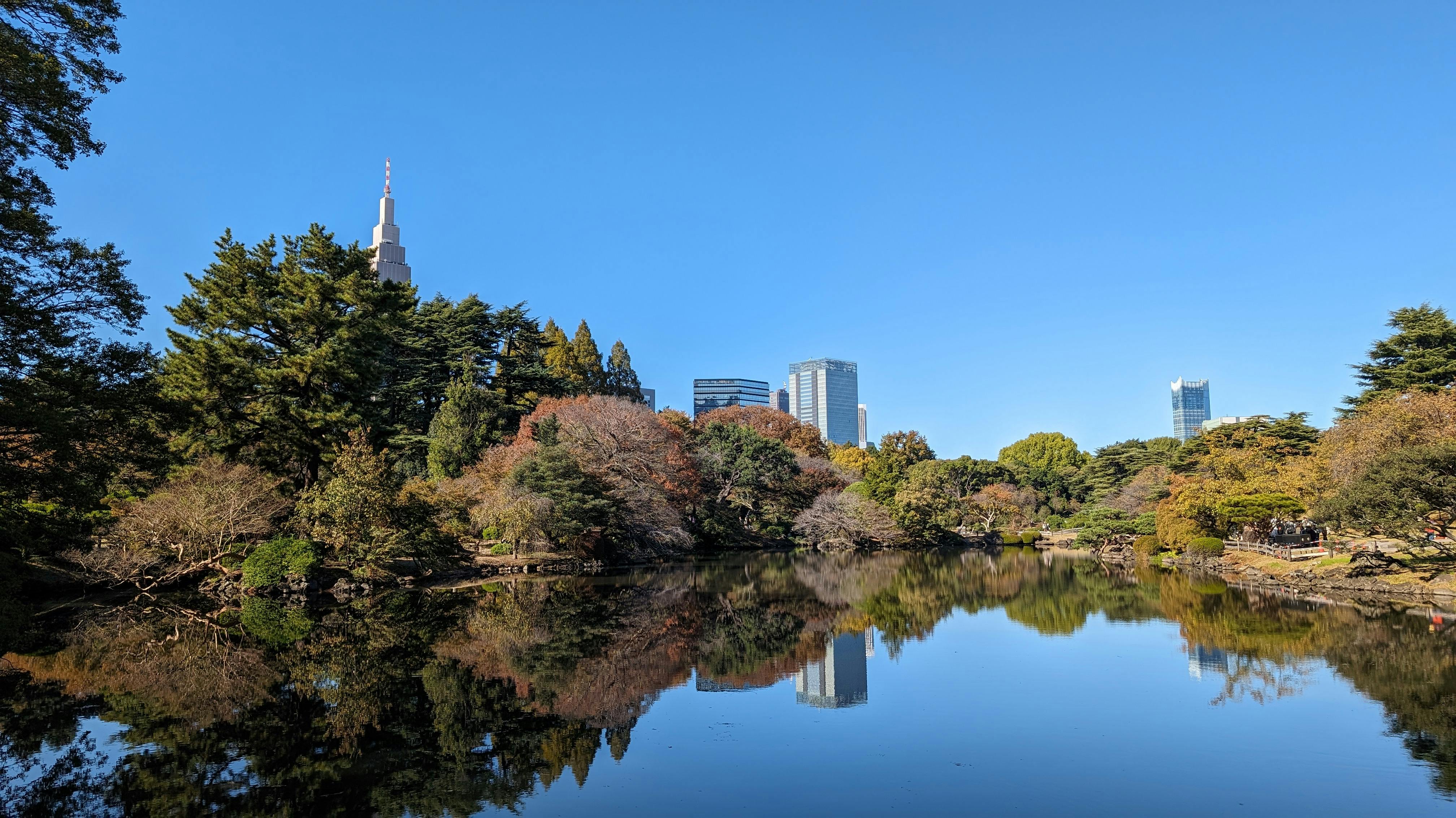 The Japan Trip