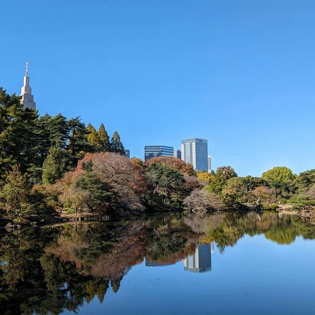 The Japan Trip The Japan Trip