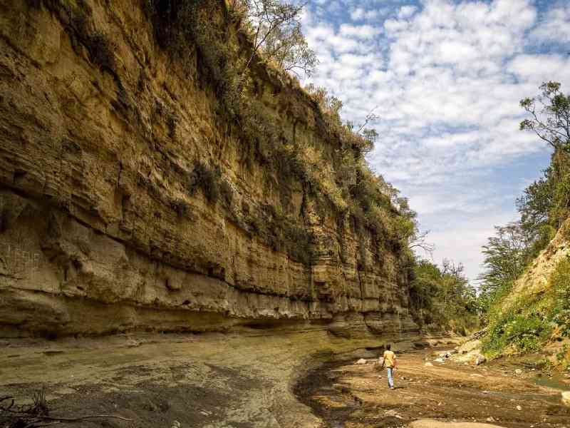 Spot wildlife on a cycling safari through Hell's Gate National Park