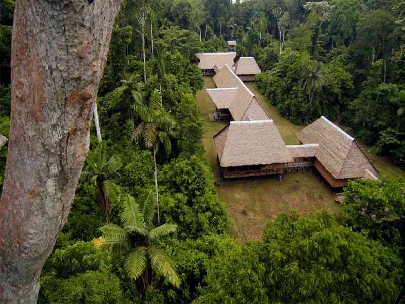Sleep at a stunning lodge in the heart of the Amazon, surrounded by wildlife