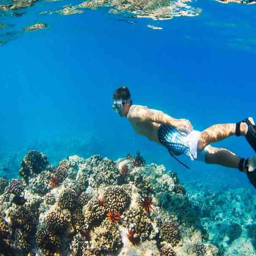 Cruise along crystal-clear Caribbean waters aboard a luxury catamaran with snorkeling, marine encounters, and stunning coastal scenery. Cruise along crystal-clear Caribbean waters aboard a luxury catamaran with snorkeling, marine encounters, and stunning coastal scenery.