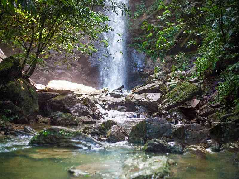 Journey along Trinidad’s breathtaking North Coast to hike through lush rainforest trails and swim beneath the refreshing Avocat Waterfall.