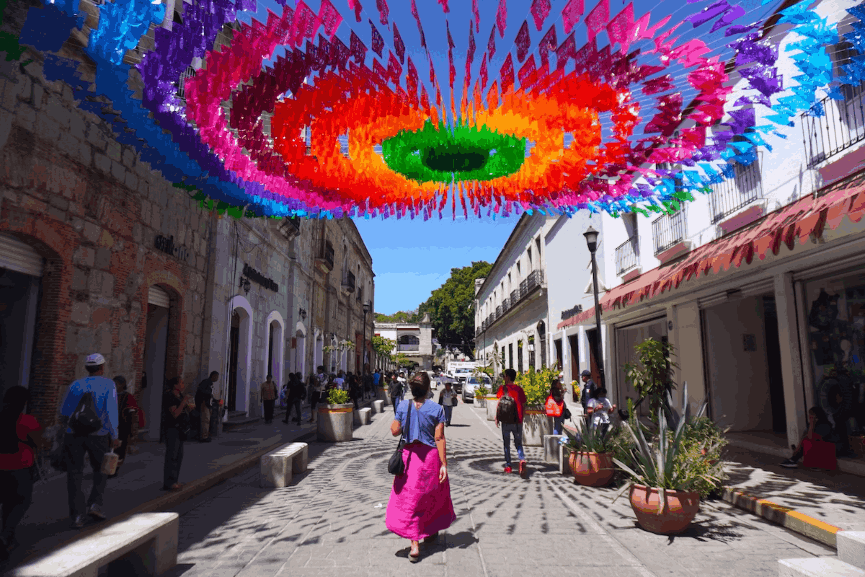 The Oaxaca Trip