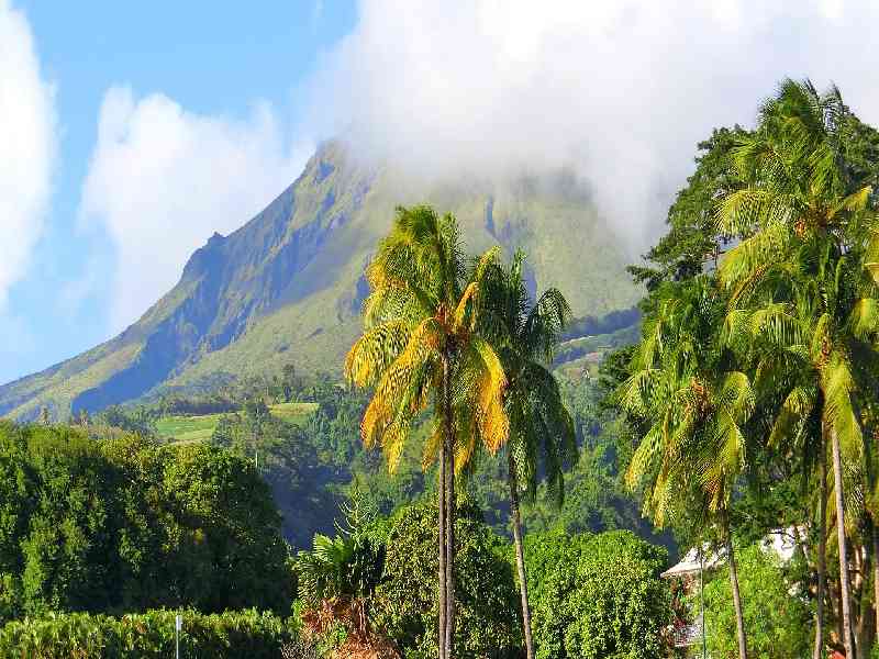 Journey through northern Martinique’s lush rainforests, waterfalls, and scenic volcanic landscapes.Journey through northern Martinique’s lush rainforests, waterfalls, and scenic volcanic landscapes.