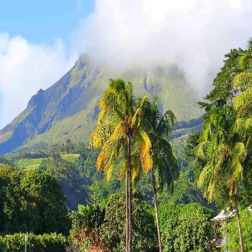 Journey through northern Martinique’s lush rainforests, waterfalls, and scenic volcanic landscapes. Journey through northern Martinique’s lush rainforests, waterfalls, and scenic volcanic landscapes.Journey through northern Martinique’s lush rainforests, waterfalls, and scenic volcanic landscapes.