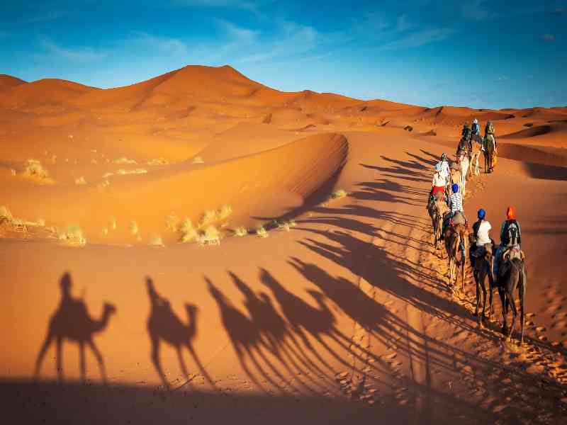 Ride camels across the golden Sahara Desert dunes and spend the night at a traditional Bedouin camp under the stars
