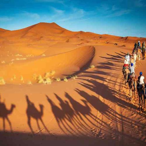 Ride camels across the golden Sahara Desert dunes and spend the night at a traditional Bedouin camp under the stars Ride camels across the golden Sahara Desert dunes and spend the night at a traditional Bedouin camp under the stars