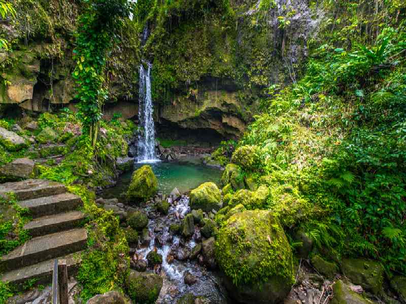 Explore Morne Trois Pitons National Park with a private guide for a personalized experience