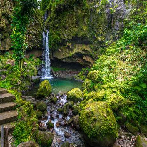 Explore Morne Trois Pitons National Park with a private guide for a personalized experience Explore Morne Trois Pitons National Park with a private guide for a personalized experience