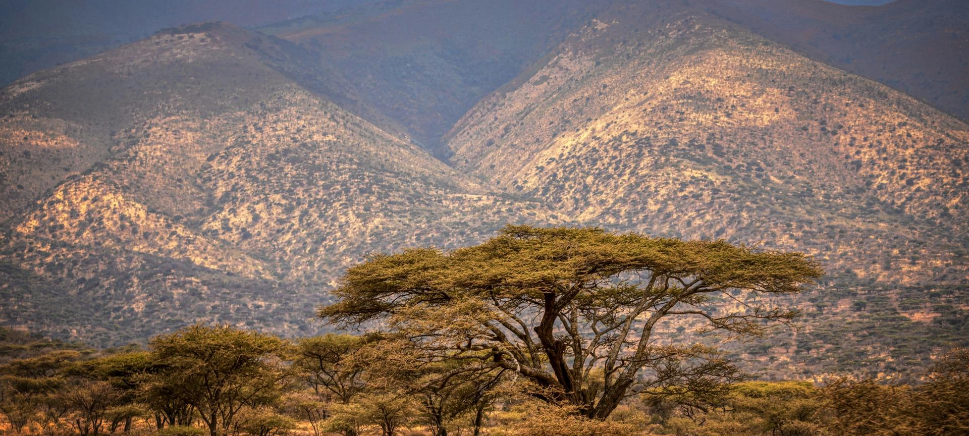 Tanzania & Kenya: The Ultimate Safari Adventure Tanzania & Kenya: The Ultimate Safari Adventure