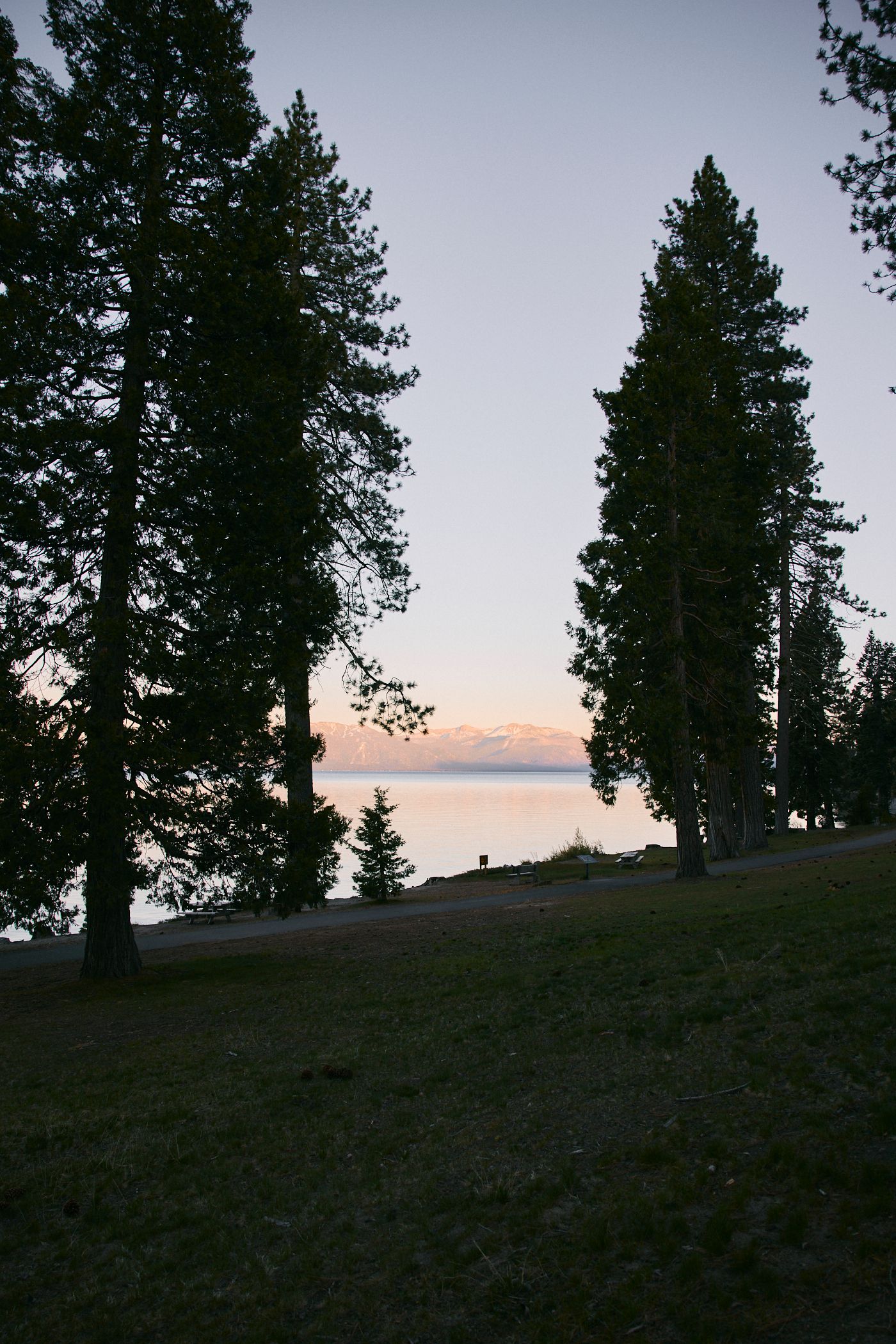 Mizzen man looking great at a photo shoot.