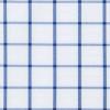 Swatch for White Navy Windowpane