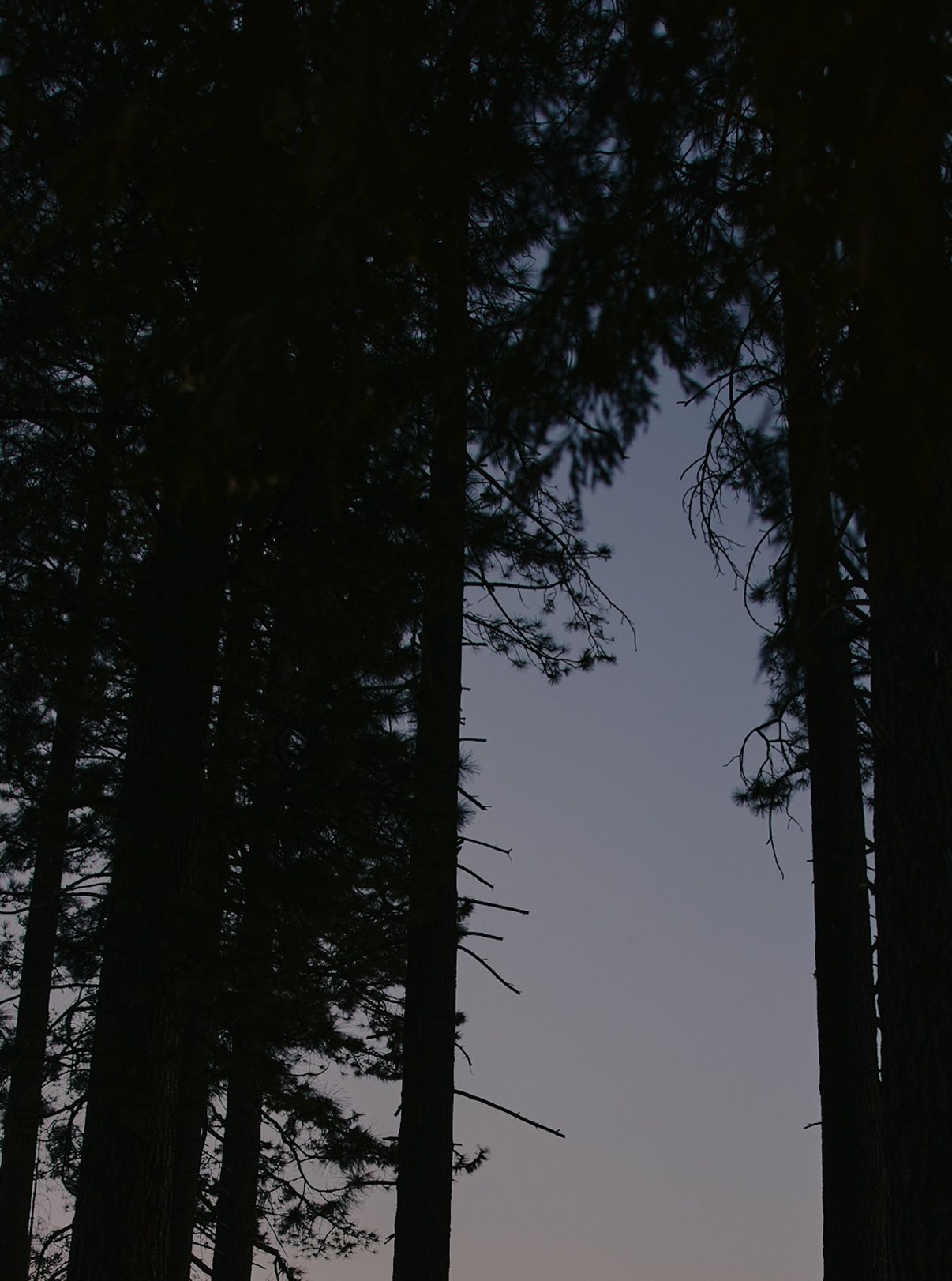 The Fall 2025 Collection