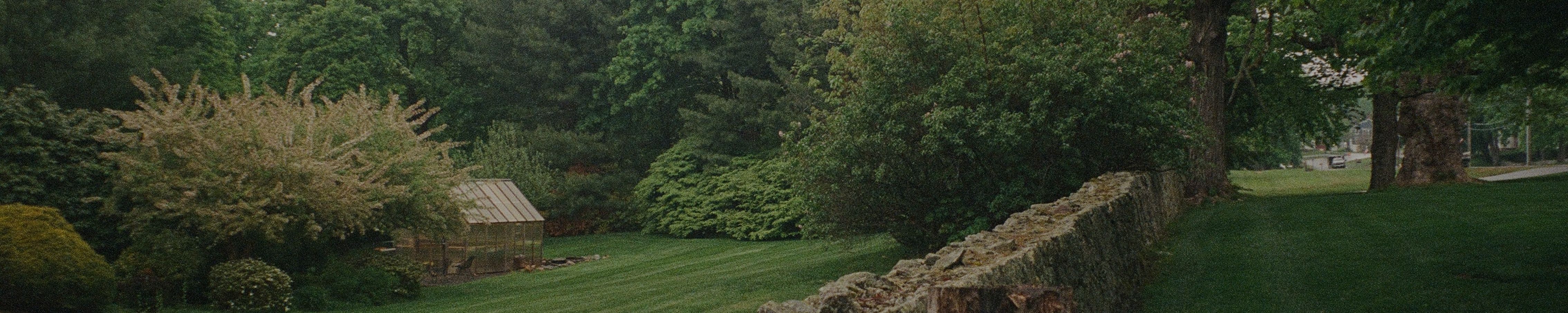 Wide shot of a lush green backyard with a stone wall, greenhouse, and mature trees.
