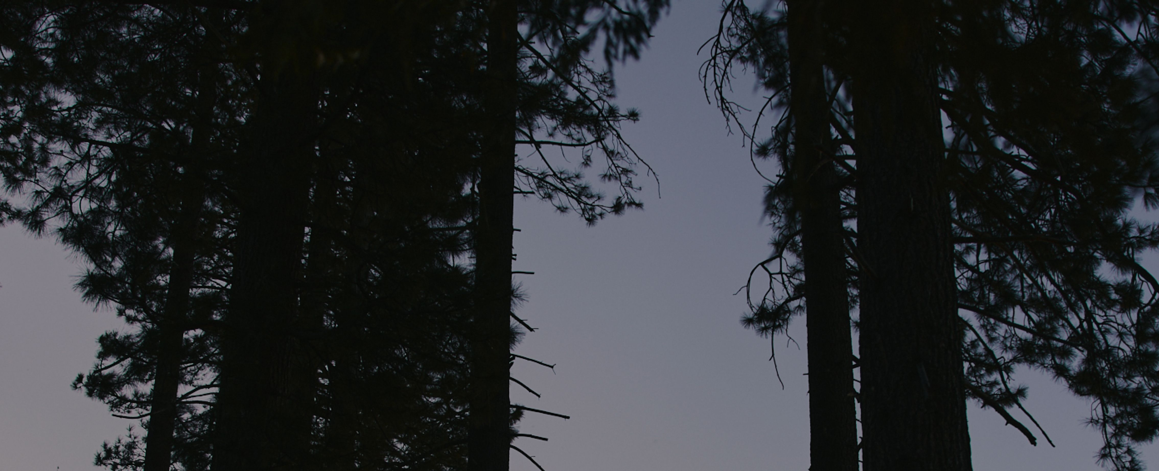 The Fall 2025 Collection