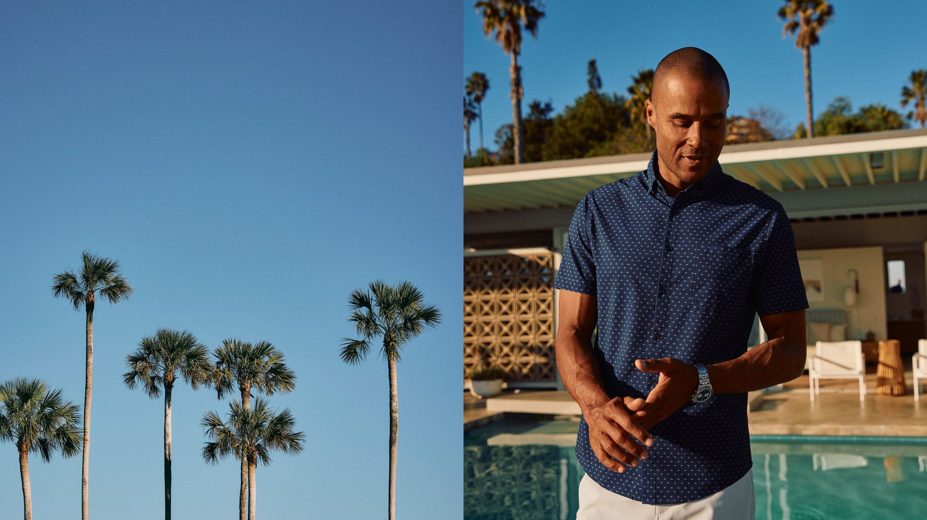 The Summer Collection