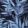 Swatch for Navy Tropical