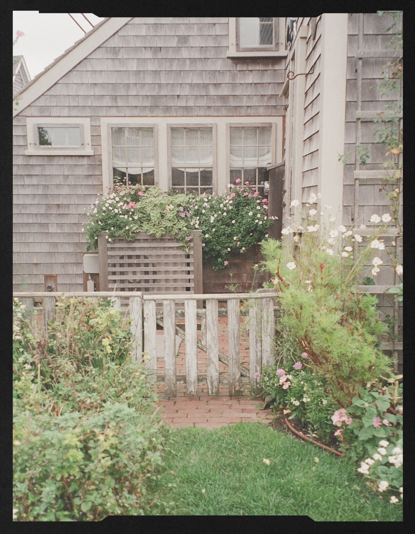 Mizzen man looking great at a photo shoot.