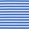 Swatch for Blue Stripe