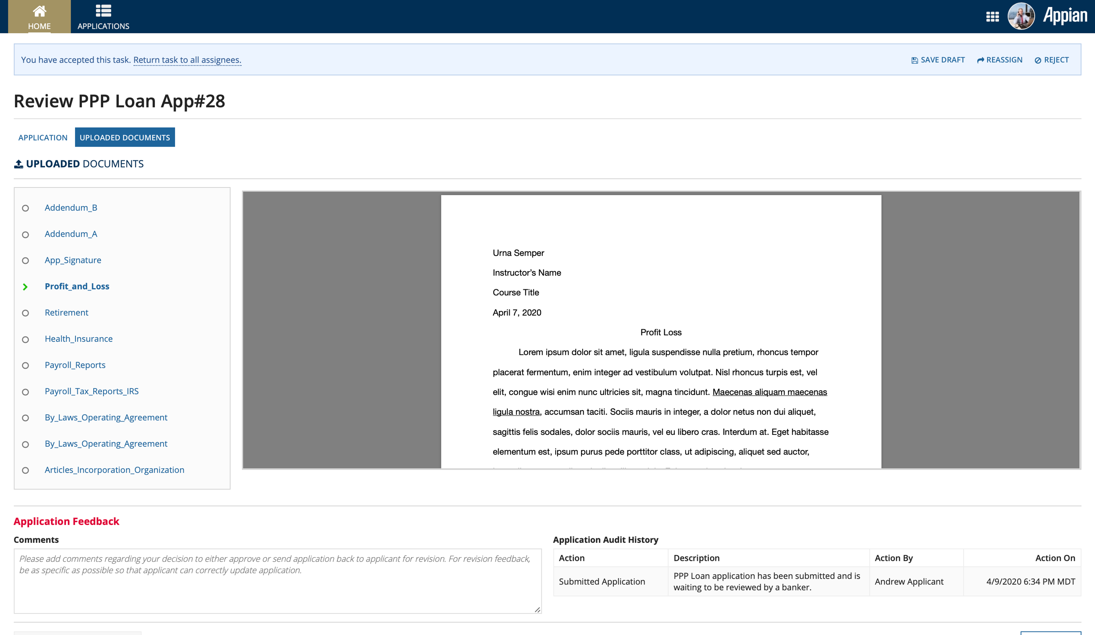 Paycheck Protection Program screenshot 8