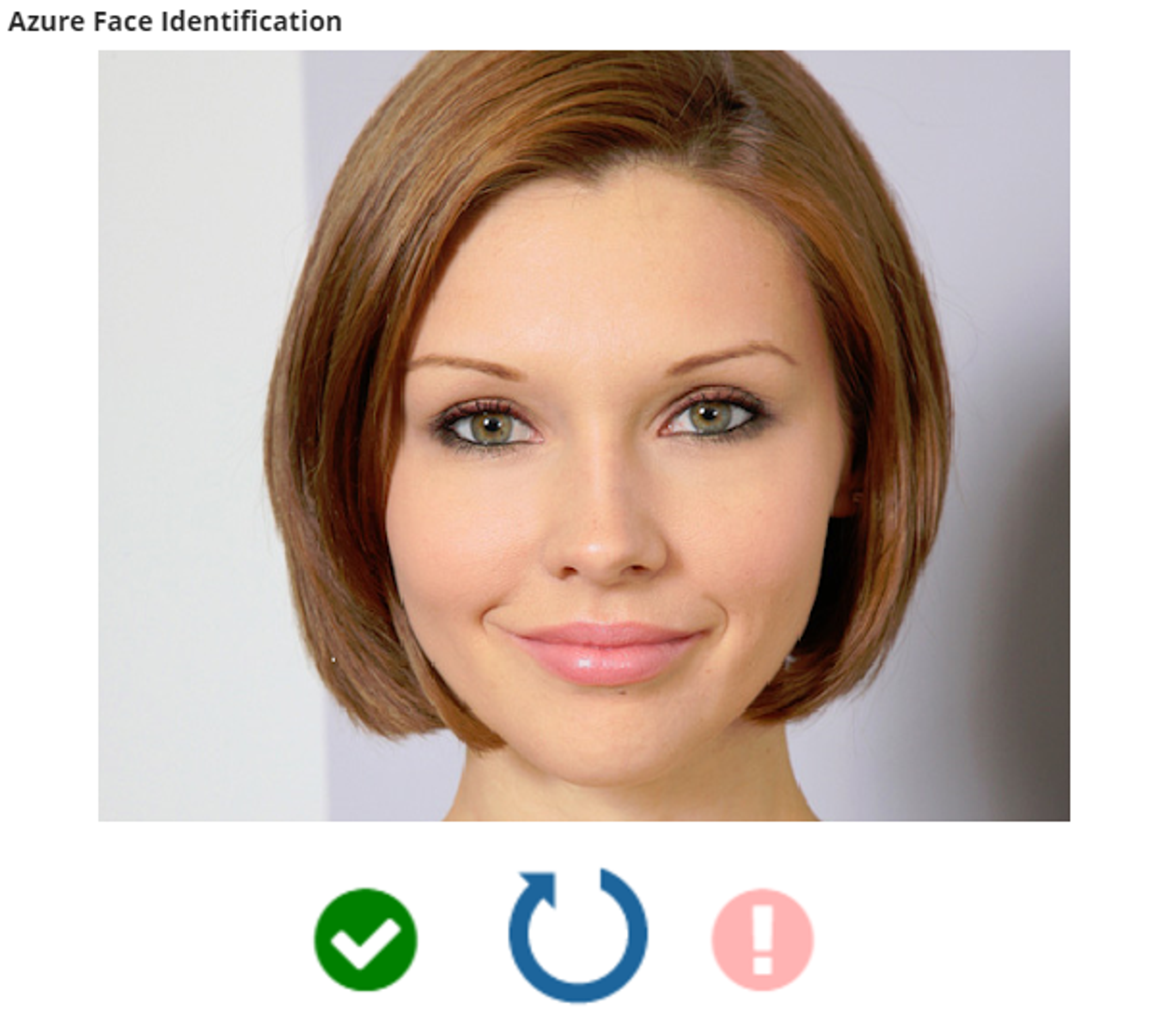 Face Identification Component screenshot 1