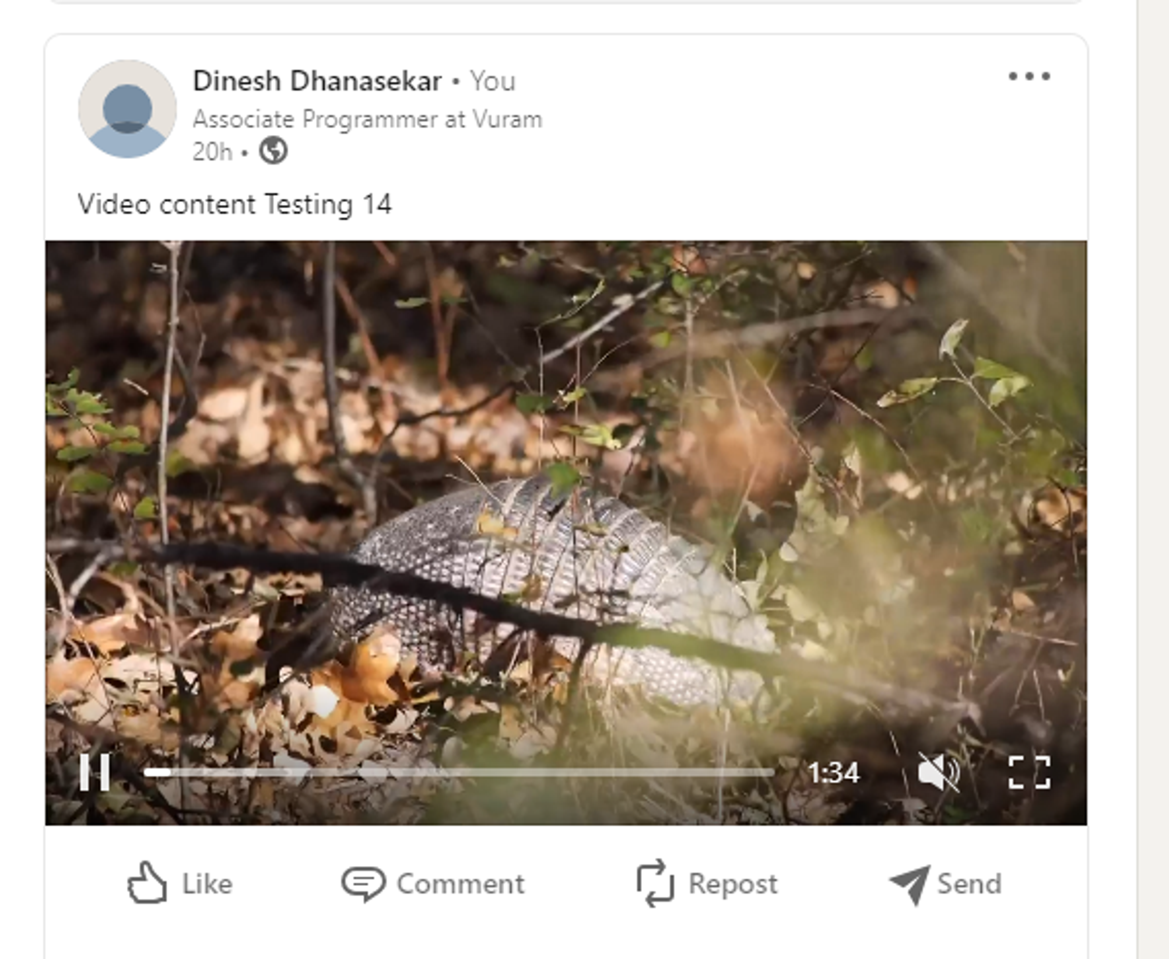 LinkedIn screenshot 2