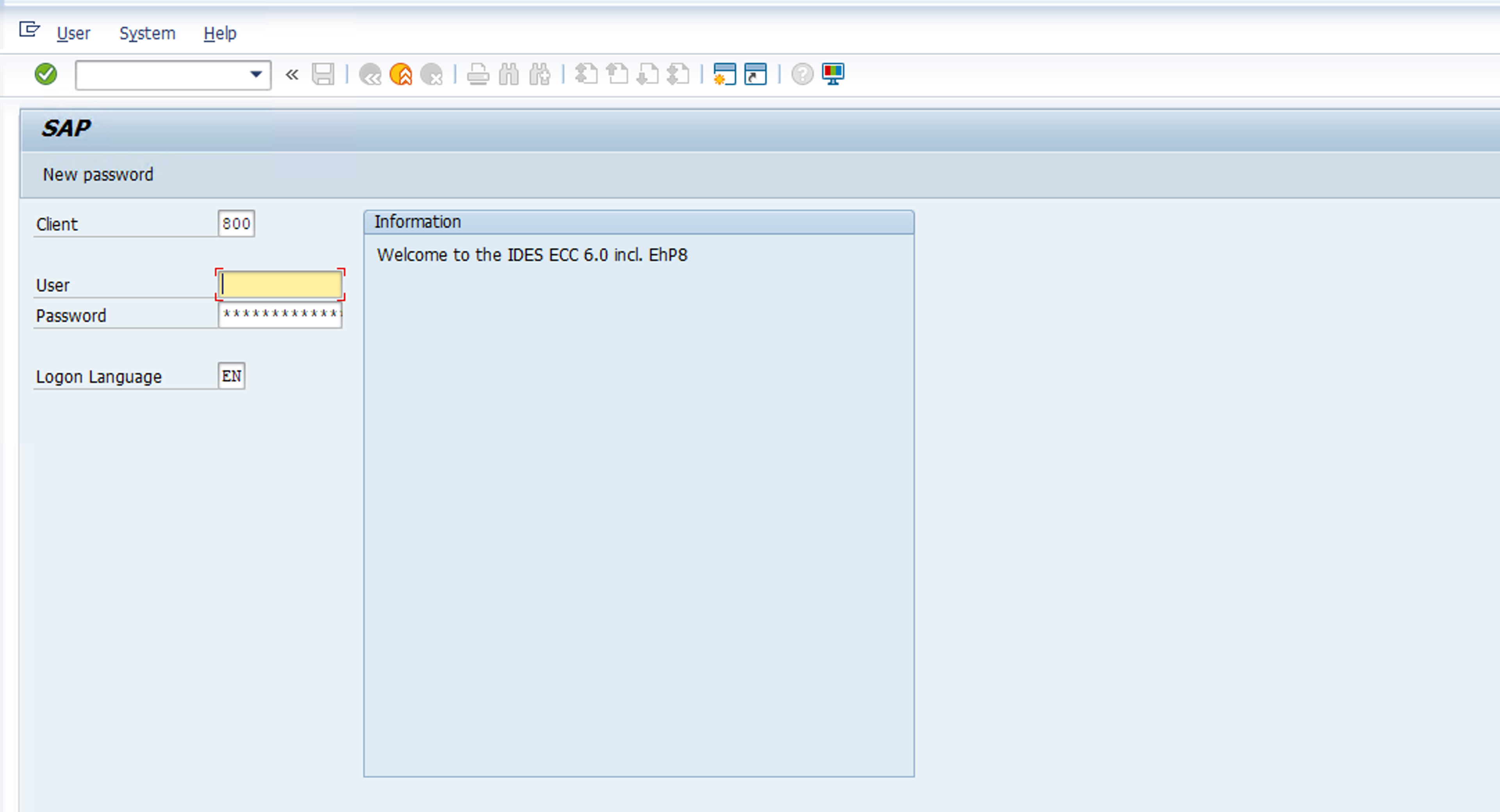 SAP - Update Customer - VD02 screenshot 2