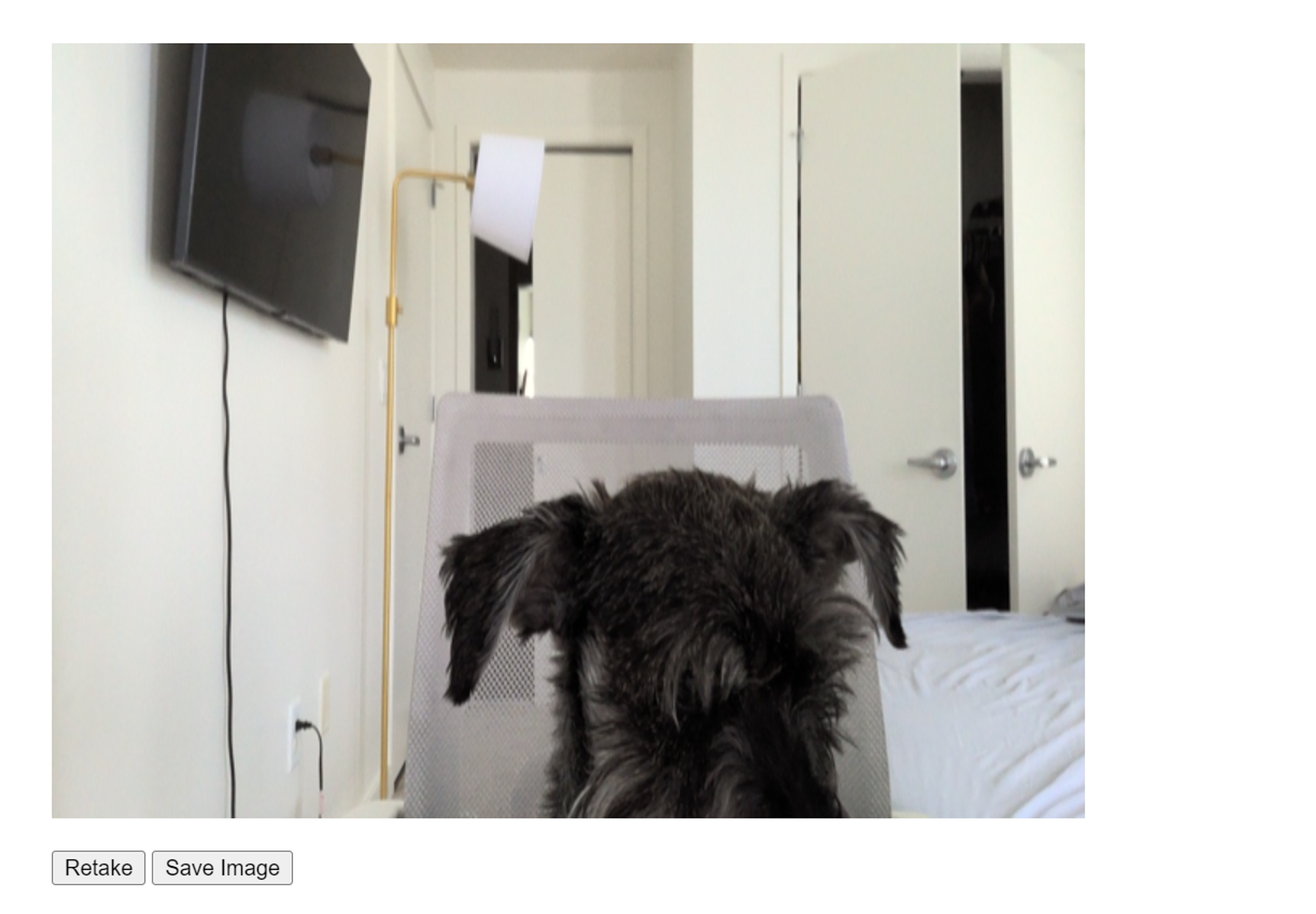 Capture Image and Video screenshot 1