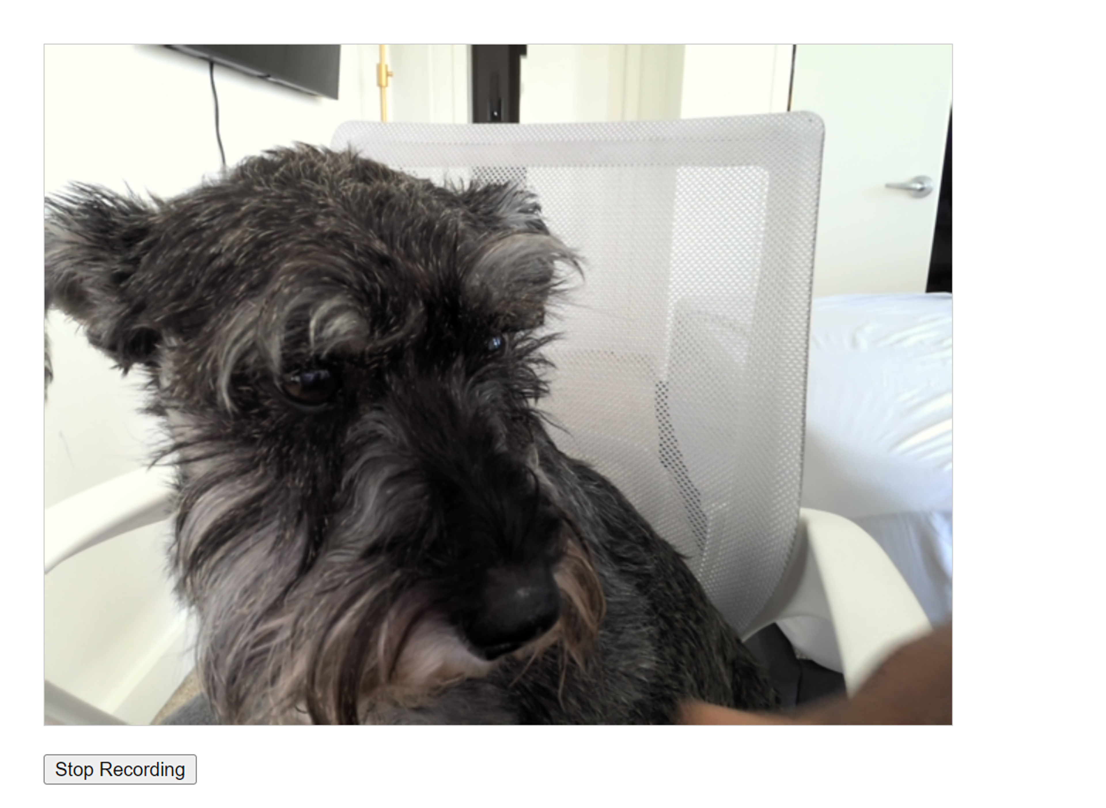 Capture Image and Video screenshot 3