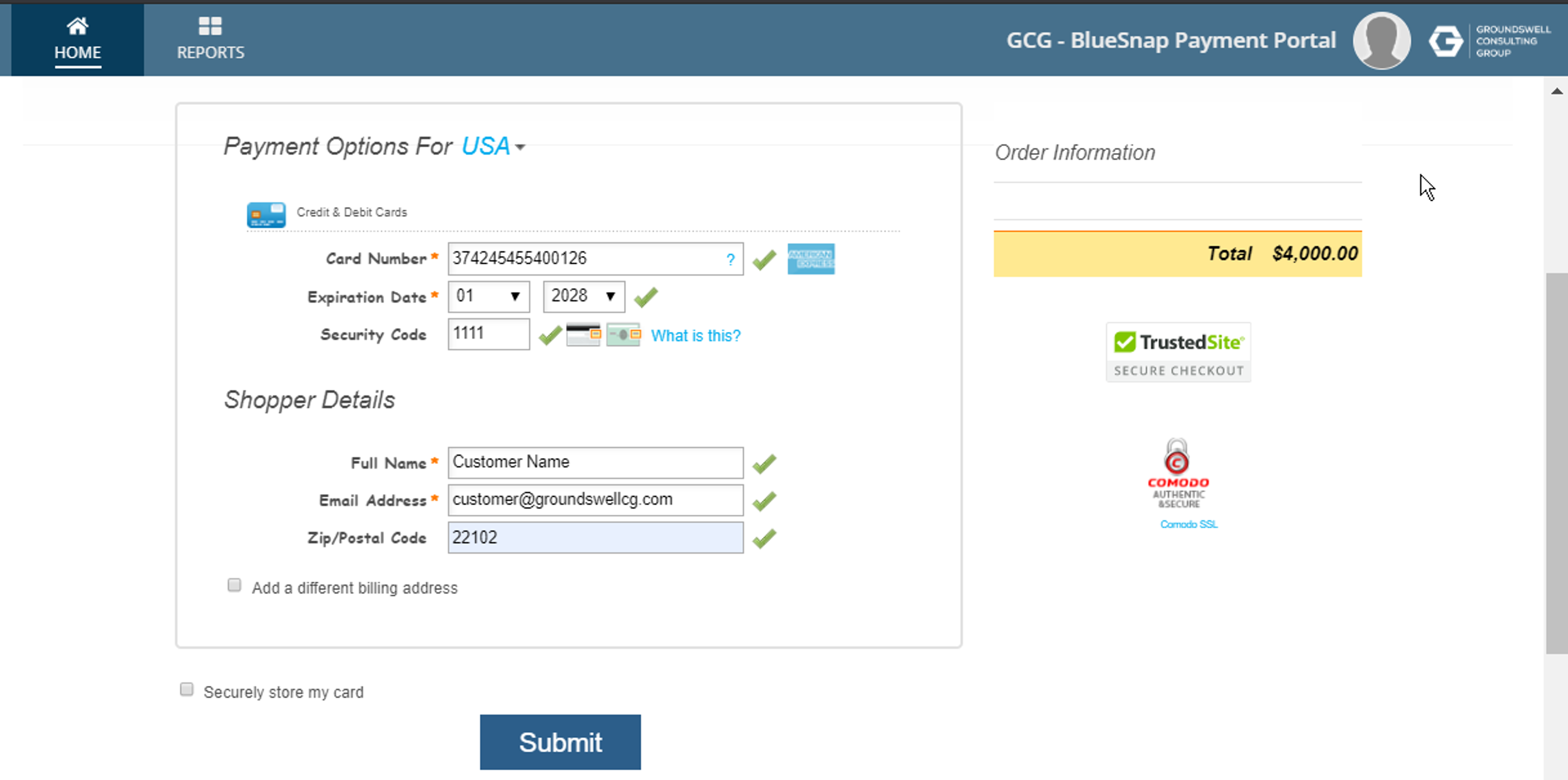 BlueSnap Hosted Payment Framework screenshot 1
